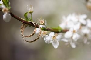 Quelle: Pixabay / Foto: Trauringe hängen an einem Ast mit Blüten