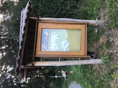 Kiga Märchenwald 14